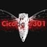 Cicada69