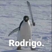 rodger.
