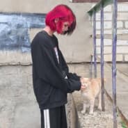 QQW