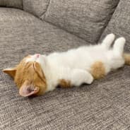 i'm eepy