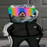 Felis Manul
