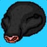Peki