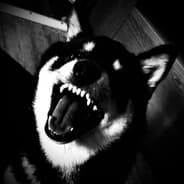 inu.