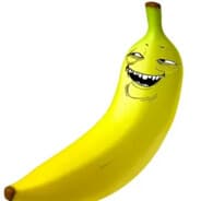 CiBER BANANA