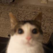 jejikeh