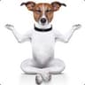 dOgA