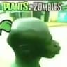 plague