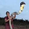 snekhandler69