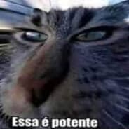 Jerry