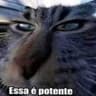 Jerry