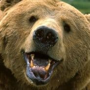 Grizzly Malone