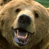 Grizzly Malone