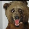 BEAR †