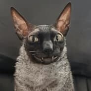 AFKennedy