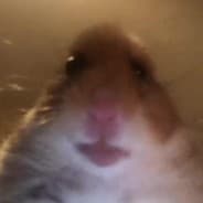 Cleeborp