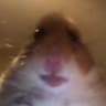 Cleeborp