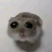 wokeupthismorning