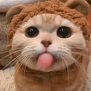 ty