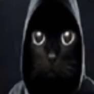 Kot Ilya