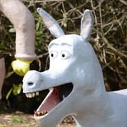 donkey
