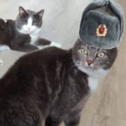iморозилке