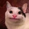 Henrique