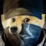Watchdoge