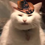 tim
