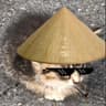 JohnJohn