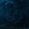 coldblueeyes