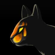 coors banquet enjoyer