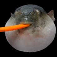 CharlesSwan