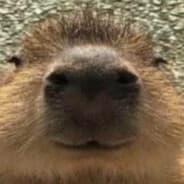 Harrison Gort