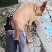 mdR
