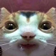rohti