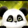 UBER PANDA