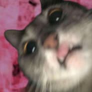 k1n