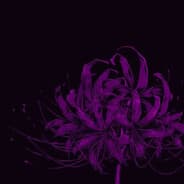 lycoris
