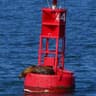 Lil Buoy