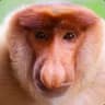 ZuligarsoN