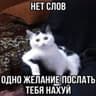 Nolik