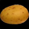 Potato31