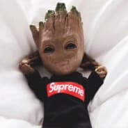 I_Am_Groot