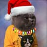 Bootsie