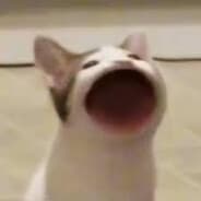 notlxdd