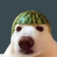 g0ZY