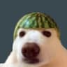 g0ZY
