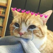 Jozefima????????????‍♀