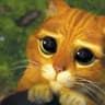 Kittenthong