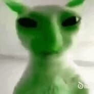 Gliznorp